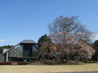 群馬県立歴史博物館.JPG