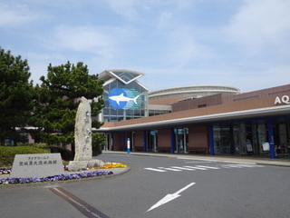 茨城県水族館.JPG